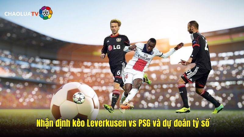 Dự đoán kèo Leverkusen vs PSG 02:00 22/10: Áp lực cho đội bóng Đức 2 Nhan dinh keo Leverkusen vs PSG va du doan ty so