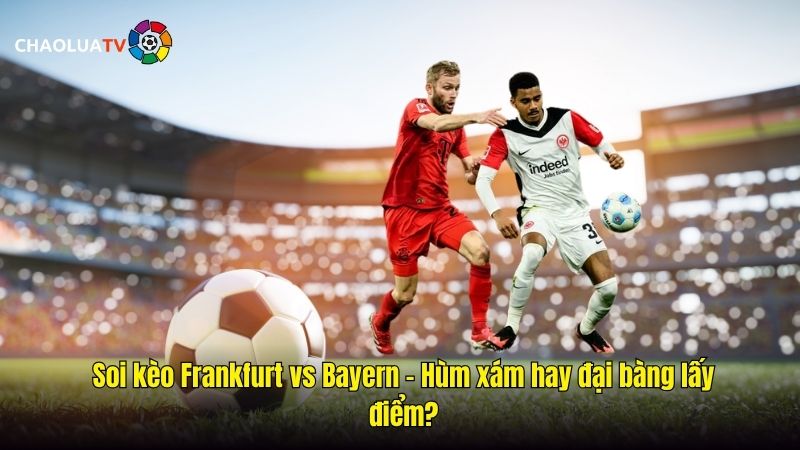 Dự đoán kèo Eintracht Frankfurt vs Bayern 23:30 04/10: Hùm xám làm khách? 2 Soi kèo Frankfurt vs Bayern - Hùm xám hay đại bàng lấy điểm?
