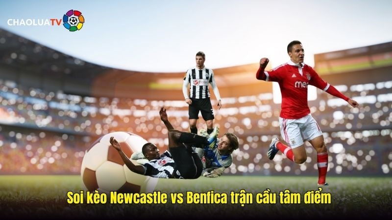 Soi kèo Newcastle vs Benfica 02:00 22/10: Chọn Chích chòe hay Đại bàng? 2 Soi keo Newcastle vs Benfica tran cau tam diem