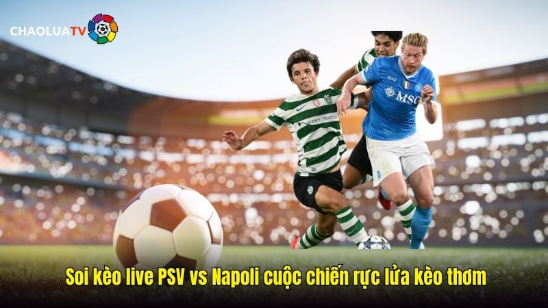 Soi kèo live PSV vs Napoli 02:00 22/10: Cuộc chiến rực lửa 2 Soi keo live PSV vs Napoli